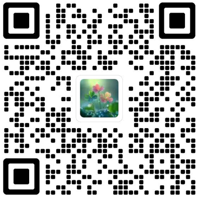 ZTE Communications杂志模板